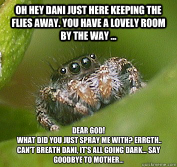 Oh hey dani just here keeping the flies away. you have a lovely room by the way ... dear god!
 What did you just spray me with? errgth.. can't breath dani, it's all going dark... say goodbye to mother...
  Misunderstood Spider