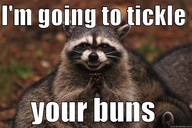 rape raccoon - I'M GOING TO TICKLE  YOUR BUNS Evil Plotting Raccoon