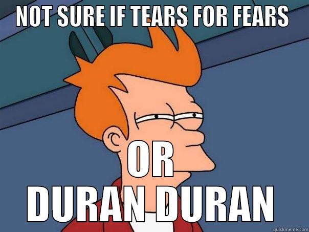 80's dilemmas - NOT SURE IF TEARS FOR FEARS OR DURAN DURAN Futurama Fry