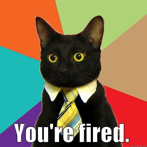 You're fired -  YOU'RE FIRED. Business Cat