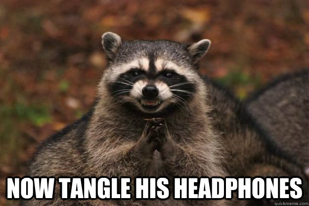  Now tangle his headphones -  Now tangle his headphones  Evil Plotting Raccoon