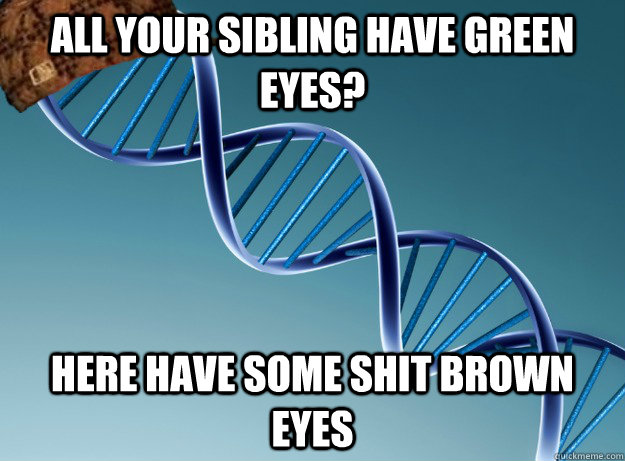 all your sibling have green eyes? here have some shit brown eyes   Scumbag Genetics