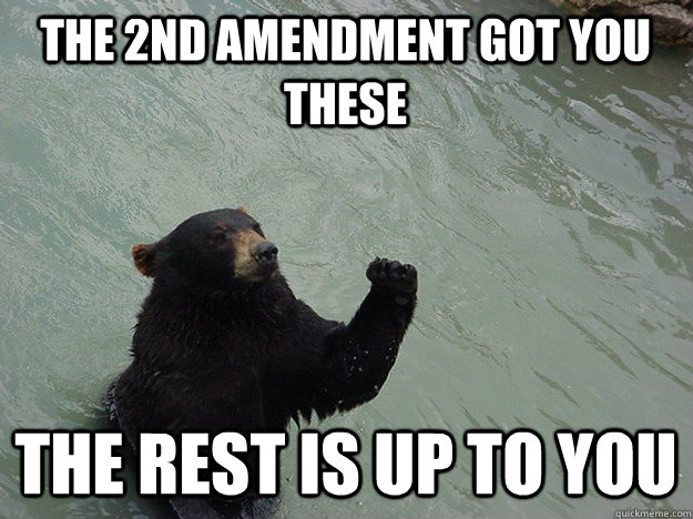 The 2nd Amendment got you these The rest is up to you   Vengeful Bear