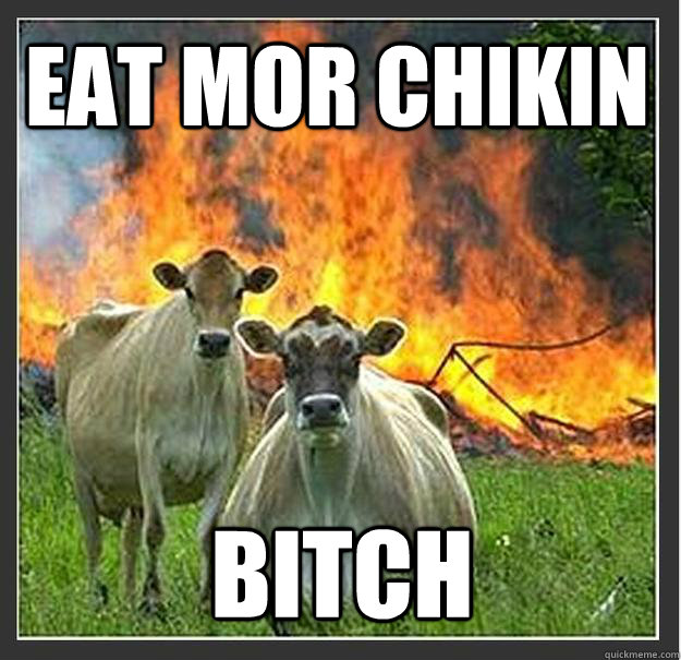 eat mor chikin bitch  Evil cows