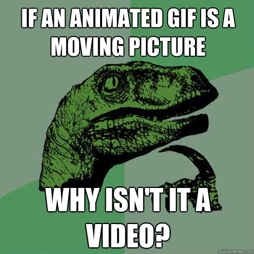 If an Animated gif is a moving picture Why isn't it a video? - If an Animated gif is a moving picture Why isn't it a video?  Philosoraptor