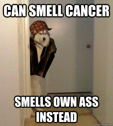 CAN SMELL CANCER SMELLS OWN ASS INSTEAD  Scumbag dog