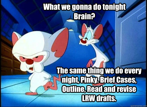 What we gonna do tonight Brain? The same thing we do every night, Pinky. Brief Cases, Outline, Read and revise LRW drafts.  Pinky and the Brain