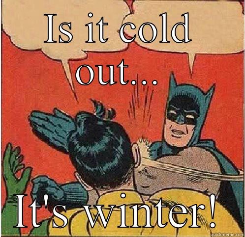 IS IT COLD OUT... IT'S WINTER! Batman Slapping Robin