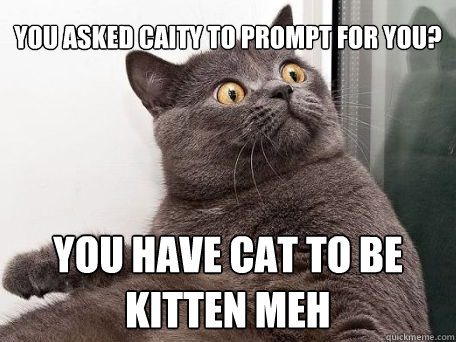 YOU ASKED CAITY TO PROMPT FOR YOU? YOU HAVE CAT TO BE KITTEN MEH  conspiracy cat