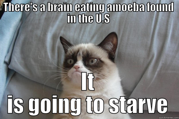 THERE'S A BRAIN EATING AMOEBA FOUND IN THE U.S IT IS GOING TO STARVE Grumpy Cat