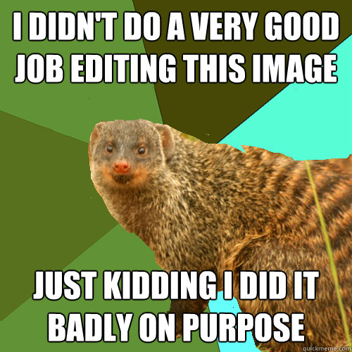 I didn't do a very good job editing this image just kidding I did it badly on purpose - I didn't do a very good job editing this image just kidding I did it badly on purpose  Supercrip Mongoose