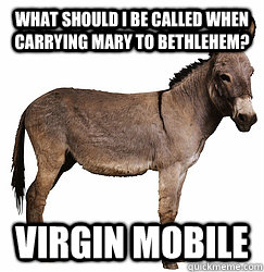 what should i be called when carrying mary to Bethlehem? Virgin mobile  Poop-Obssesed Donkey