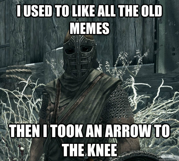 I used to like all the old memes then I took an arrow to the knee  Skyrim Guard