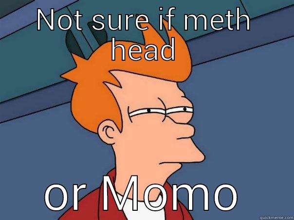 NOT SURE IF METH HEAD OR MOMO Futurama Fry