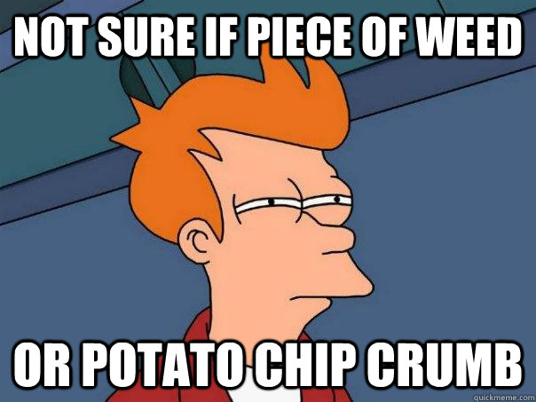 Not sure if piece of weed or potato chip crumb  Futurama Fry