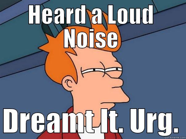 Loud Noise - HEARD A LOUD NOISE  DREAMT IT. URG. Futurama Fry