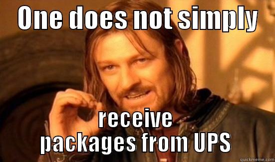    ONE DOES NOT SIMPLY    RECEIVE PACKAGES FROM UPS Boromir