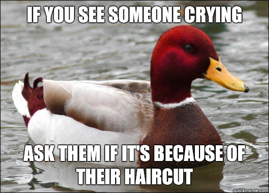 If you see someone crying
 Ask them if it's because of their haircut  Malicious Advice Mallard