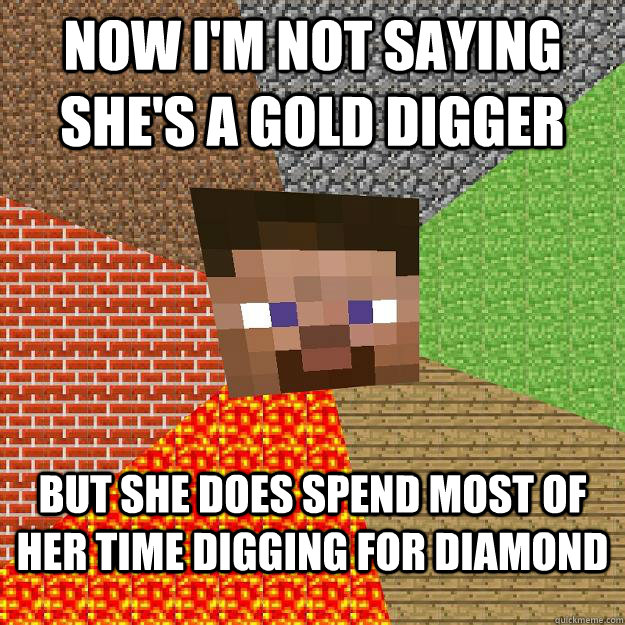 Now I'm not saying she's a gold digger But she does spend most of her time digging for Diamond  Minecraft