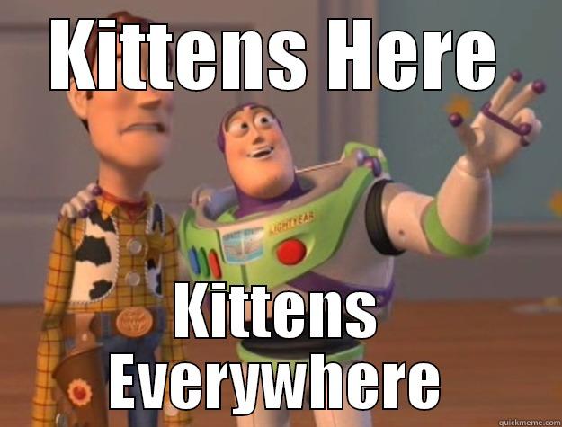 KITTENS HERE KITTENS EVERYWHERE Toy Story