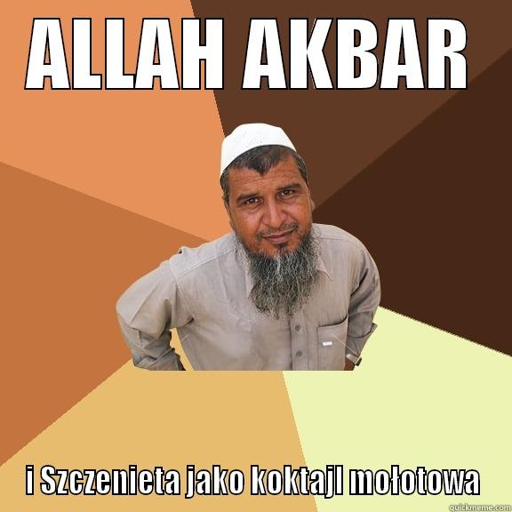 allah akbnar - ALLAH AKBAR I SZCZENIETA JAKO KOKTAJL MOŁOTOWA Ordinary Muslim Man