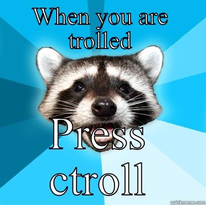 WHEN YOU ARE TROLLED PRESS CTROLL Lame Pun Coon