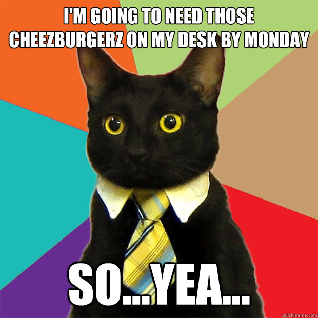 I'm going to need those cheezburgerz on my desk by monday so...yea...  Business Cat