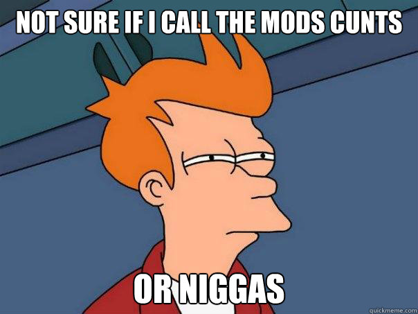 Not sure if I call the mods cunts Or niggas  Futurama Fry