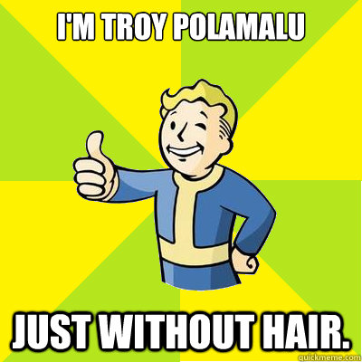 I'm Troy Polamalu Just without hair.  Fallout new vegas