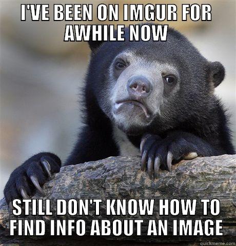 Help me... - I'VE BEEN ON IMGUR FOR AWHILE NOW STILL DON'T KNOW HOW TO FIND INFO ABOUT AN IMAGE Confession Bear