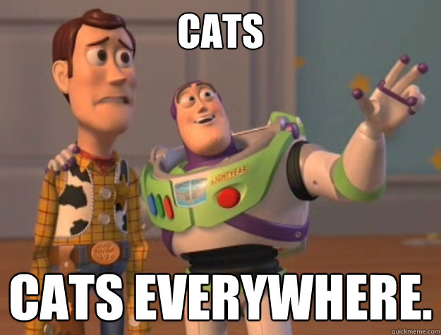 Cats Cats everywhere. - Cats Cats everywhere.  Toy Story