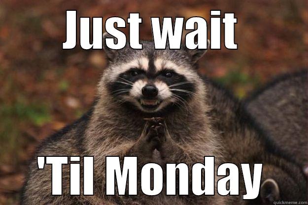 JUST WAIT 'TIL MONDAY Evil Plotting Raccoon