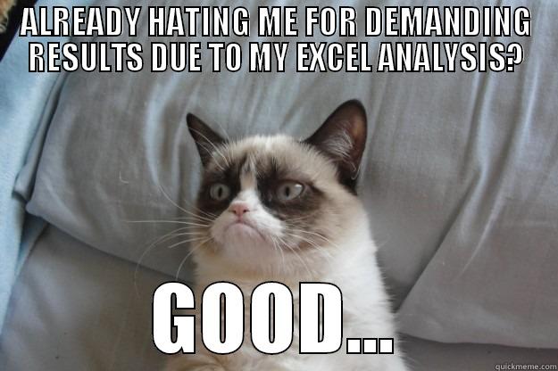 DO YOU HATE ME? - ALREADY HATING ME FOR DEMANDING RESULTS DUE TO MY EXCEL ANALYSIS? GOOD... Grumpy Cat