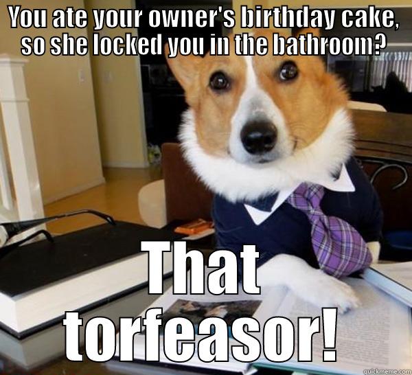 YOU ATE YOUR OWNER'S BIRTHDAY CAKE, SO SHE LOCKED YOU IN THE BATHROOM? THAT TORFEASOR! Lawyer Dog