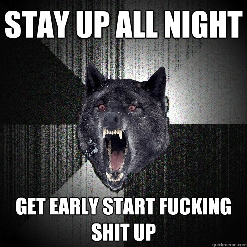 Stay up all night Get early start fucking shit up  Insanity Wolf