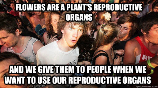 Flowers are a plant's reproductive organs And we give them to people when we want to use our reproductive organs  