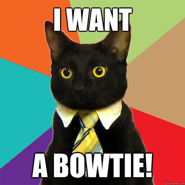 I want  A BOWTIE!  Business Cat