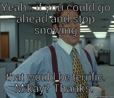 YEAH...IF YOU COULD GO AHEAD AND STOP SNOWING THAT WOULD BE TERRIFIC. M'KAY? THANKS.  Bill Lumbergh