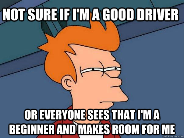 Not sure if i'm a good driver or everyone sees that i'm a beginner and makes room for me - Not sure if i'm a good driver or everyone sees that i'm a beginner and makes room for me  Futurama Fry