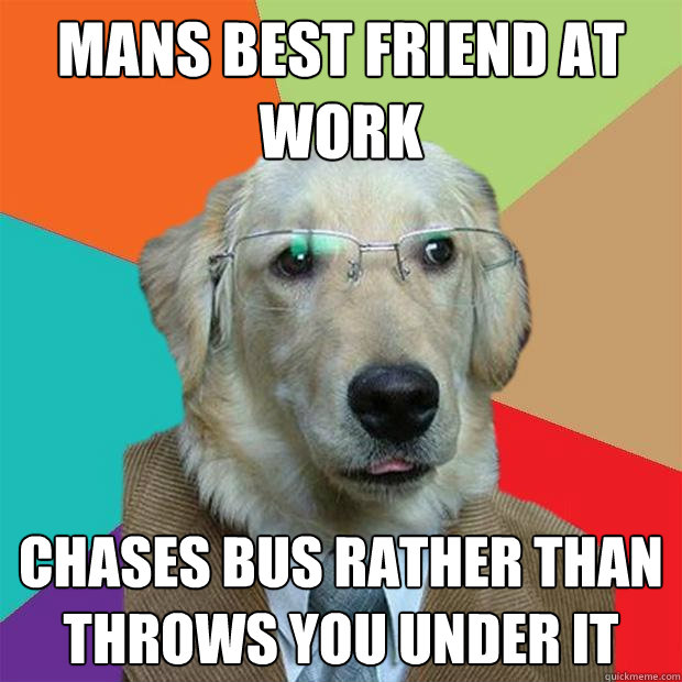 Mans best friend at work Chases bus rather than throws you under it  Business Dog