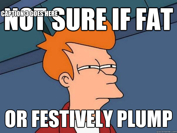 not sure if fat or festively plump Caption 3 goes here  Futurama Fry