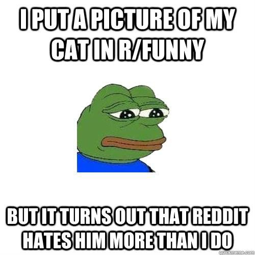 I put a picture of my cat in r/funny But it turns out that Reddit hates him more than i do  Sad Frog