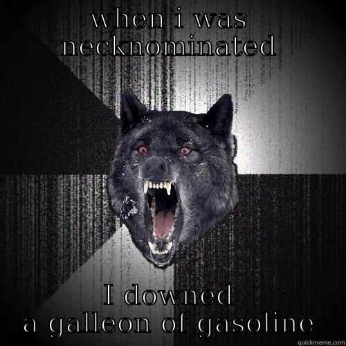 Insanity Wolf - WHEN I WAS NECKNOMINATED I DOWNED A GALLEON OF GASOLINE Insanity Wolf