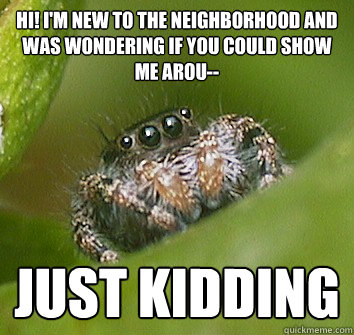 Hi! I'm new to the neighborhood and was wondering if you could show me arou-- just kidding  Misunderstood Spider