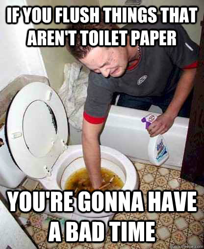 If you flush things that aren't toilet paper You're gonna have a bad time  Super Cool Plumber