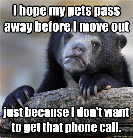 I hope my pets pass away before I move out just because I don't want to get that phone call.  Confession Bear