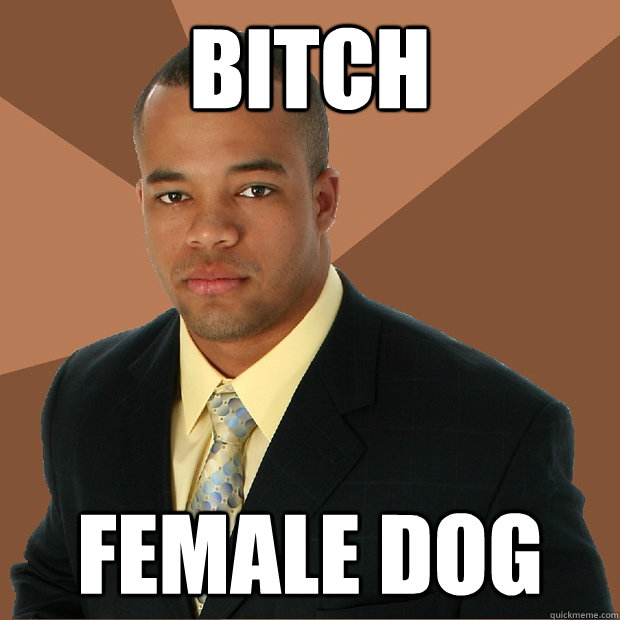 bitch female dog  Successful Black Man