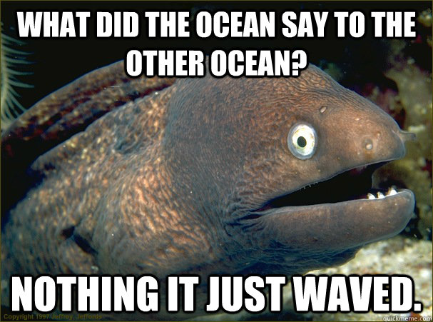 What did the ocean say to the other ocean? nothing it just waved.  Bad Joke Eel