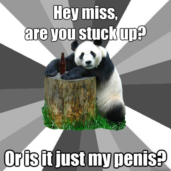 Hey miss,
are you stuck up? Or is it just my penis?  Pickup-Line Panda