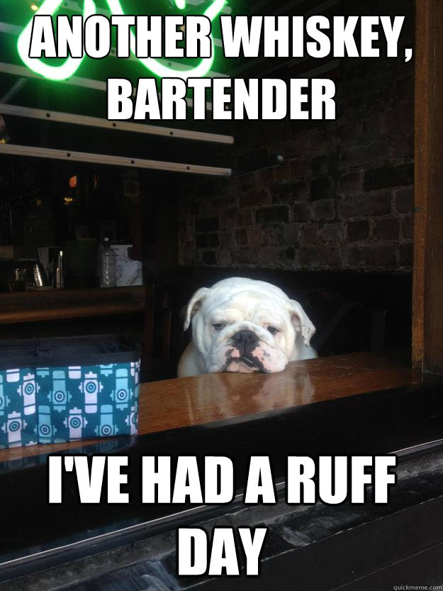 Another Whiskey, bartender I've had a ruff day - Another Whiskey, bartender I've had a ruff day  sad bar dog